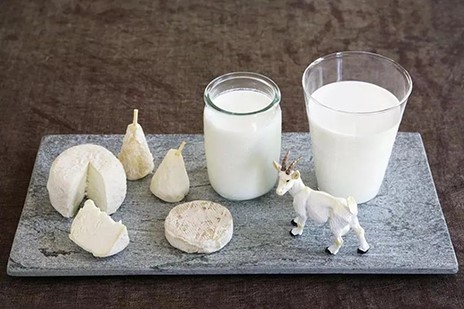 2022年世界牛奶日·全国乳品营养周专稿——科普羊奶营养，推进全民健康
