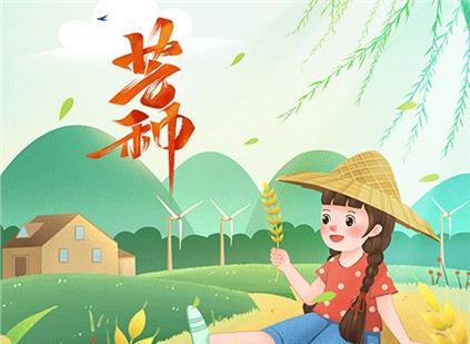 芒种