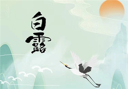白露